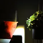 Porta Felu 公寓 *